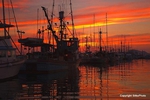 The Waiting Fleet at Sunset